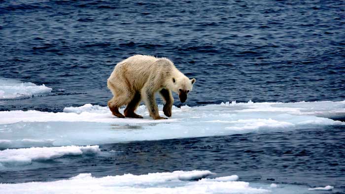 L'accord de Paris sur le climat-effets