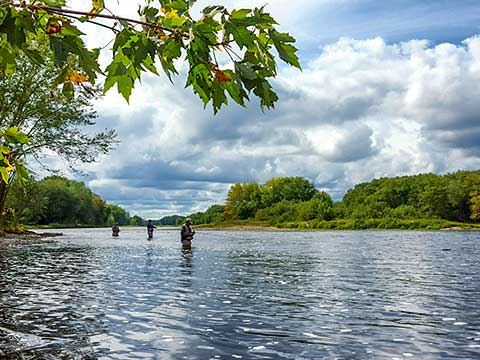 Renous sur la riviere
