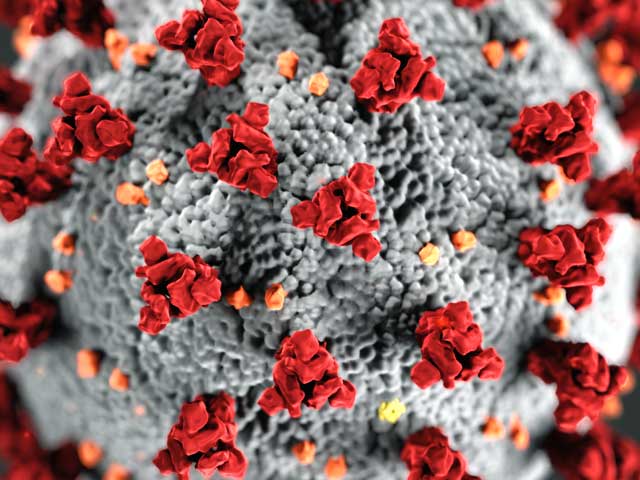coronavirus